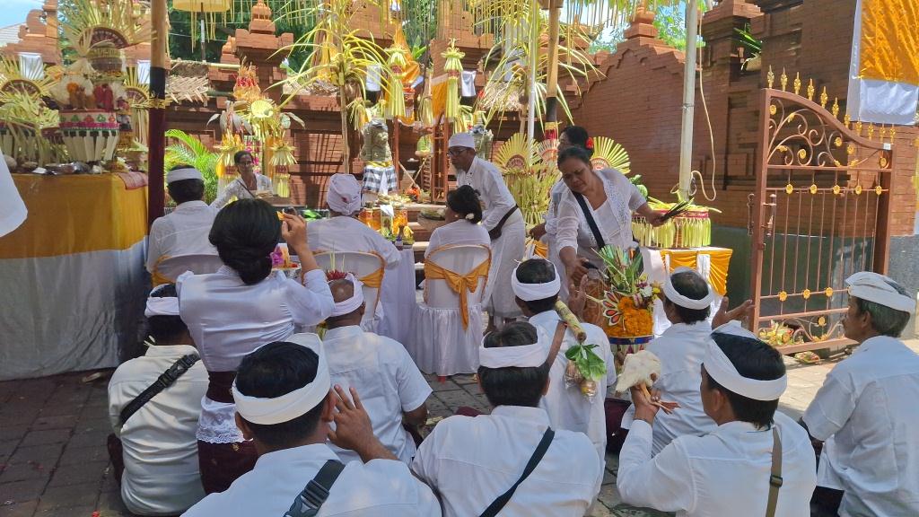 Melaspas Padmasana dan Piodalan Kantor Lurah Sesetan